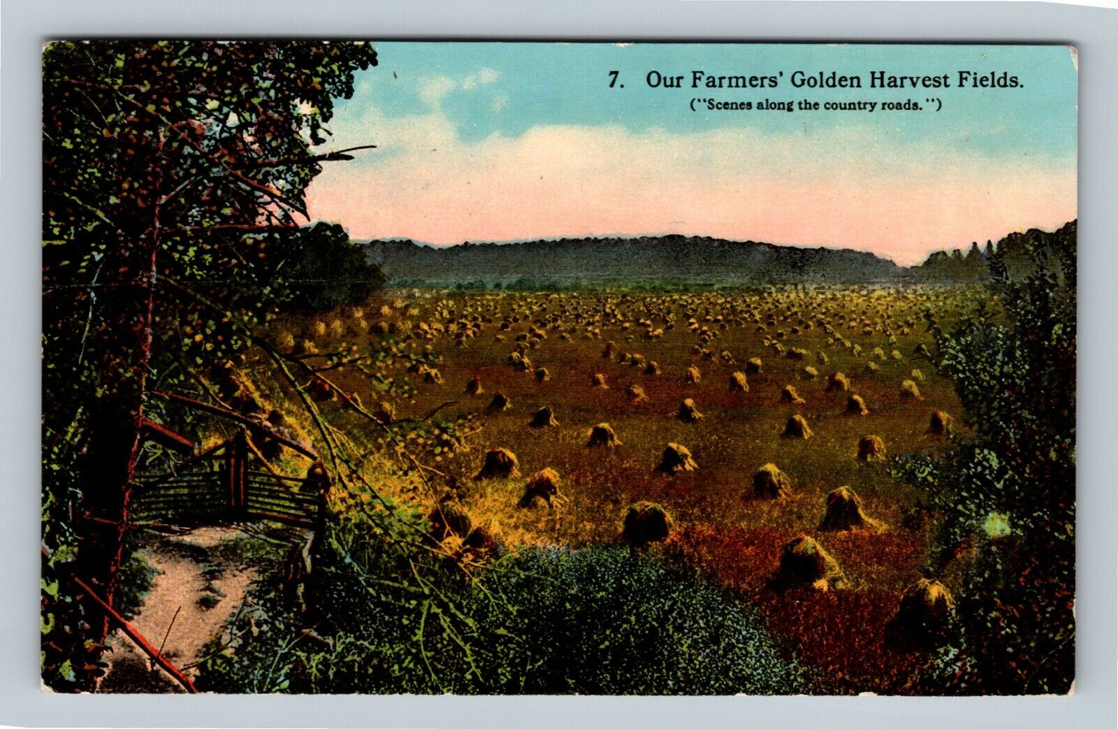 Our Farmers Golden Harvest Fields, Hay, Vintage Postcard