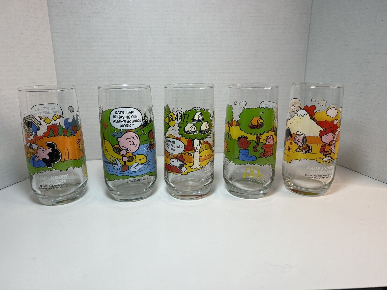 Mcdonalds Peanuts Camp Snoopy Collection Vintage Glasses Set of 5-