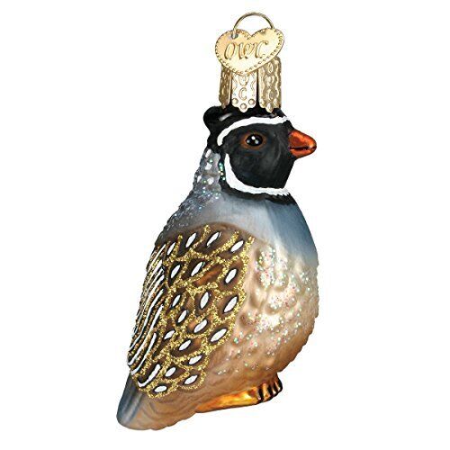 Old World Christmas Bird Watcher Collection Glass Blown Ornaments for Christm...
