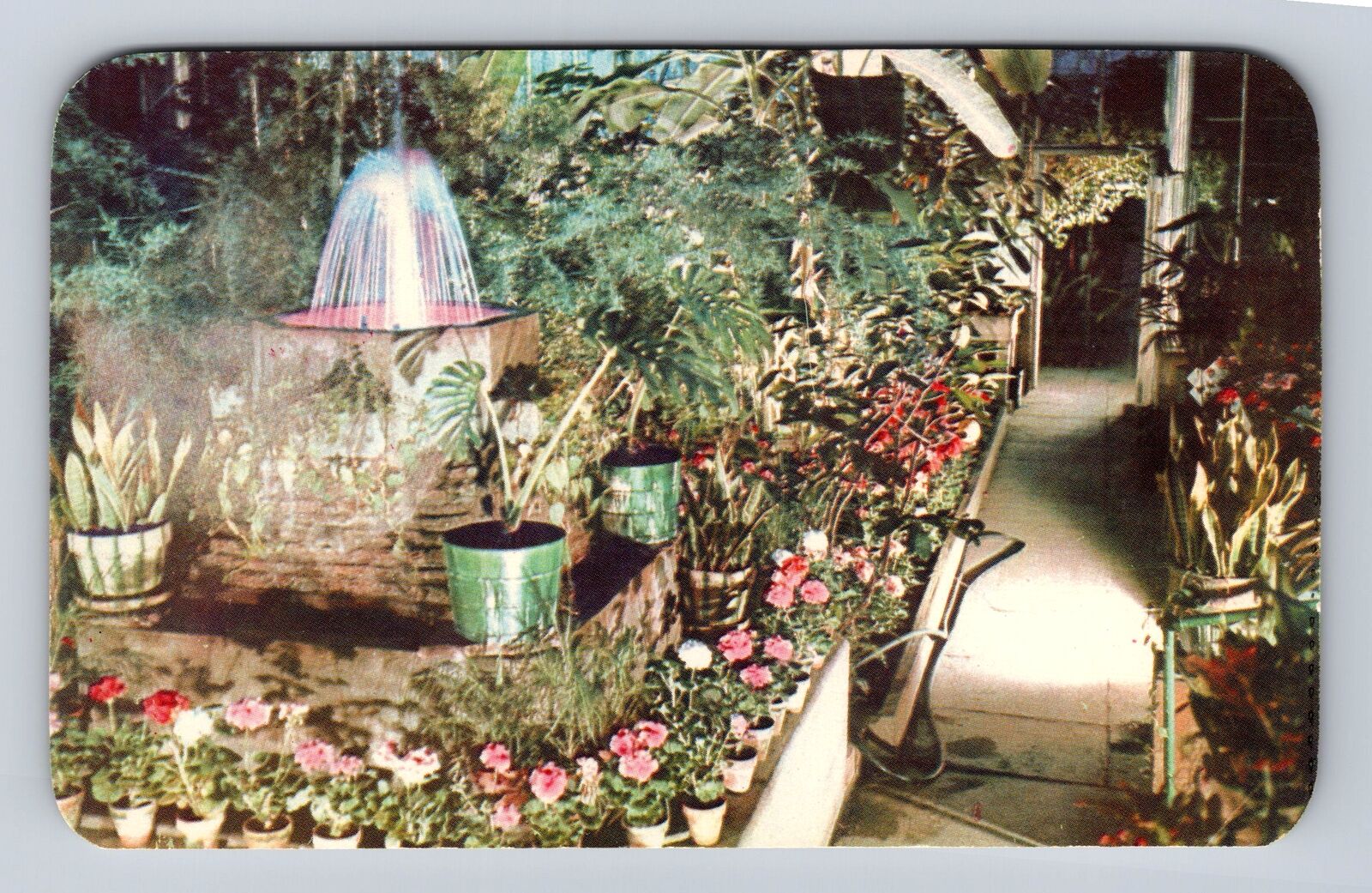 Massillon OH- Ohio, Brediger Botanical Gardens, Antique, Vintage Postcard