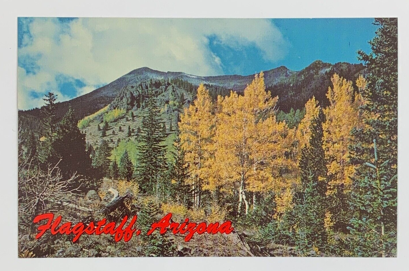 Aspen Trees on San Francisco Peaks Flagstaff Arizona Postcard Unposted