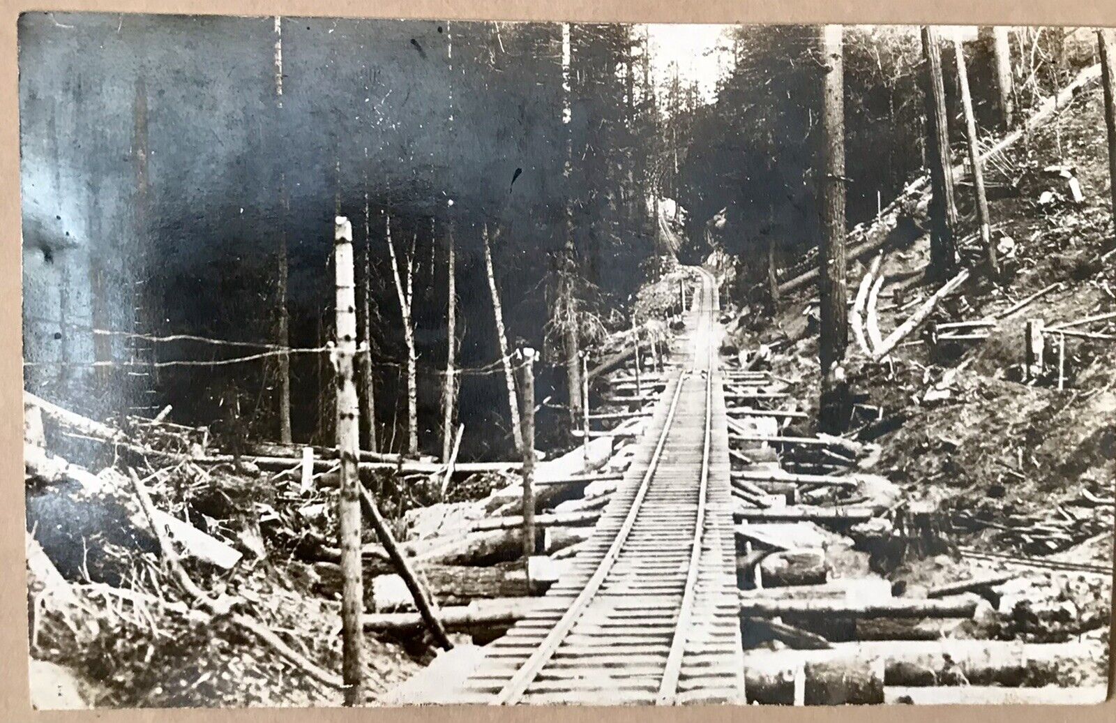 Train Tracks RPPC Postcard Sierra Nevada Mountains Real Photo 1922 Posted