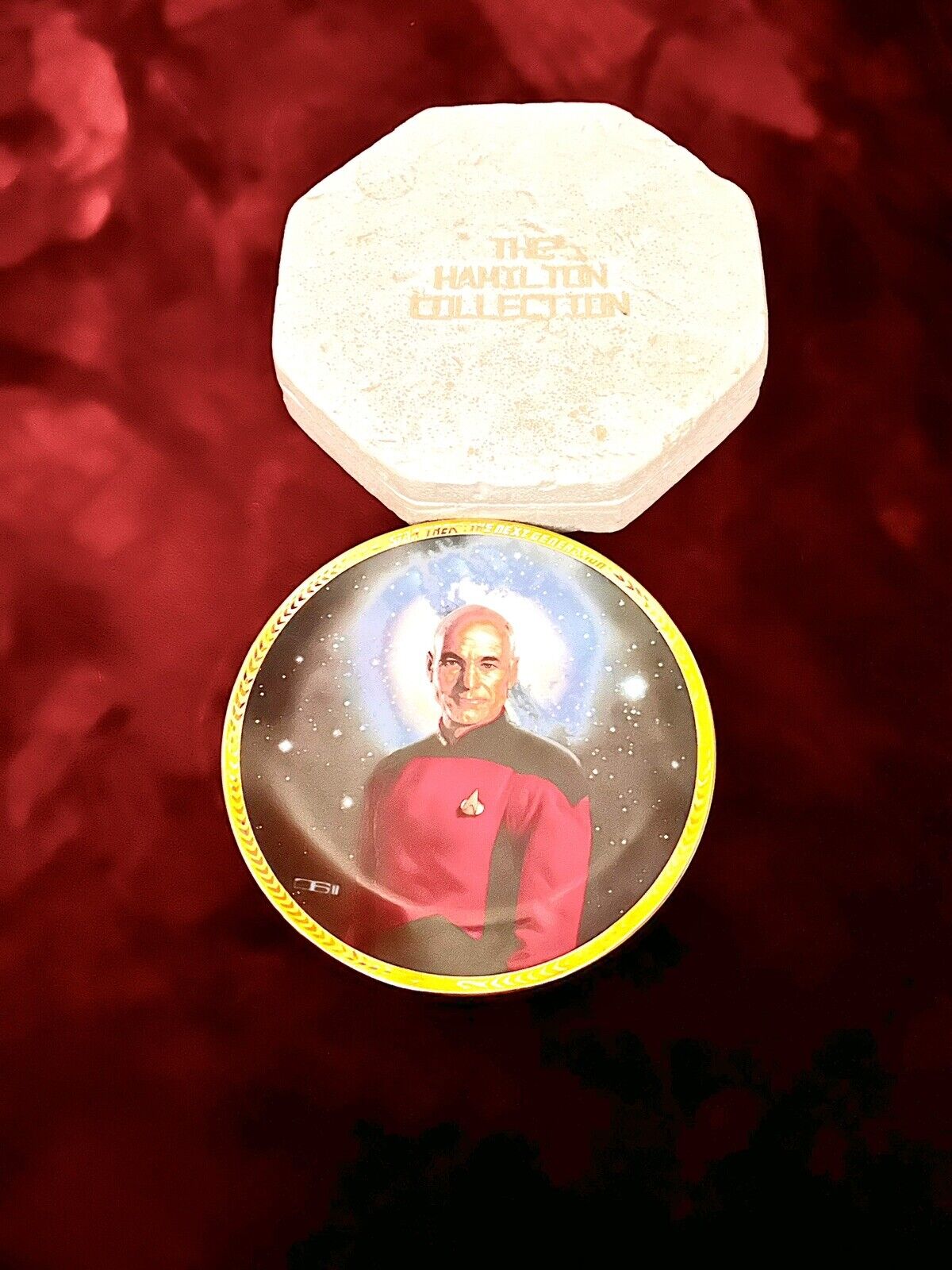 Captain Jean-Luc Picard  Star Trek Next Gen Plate