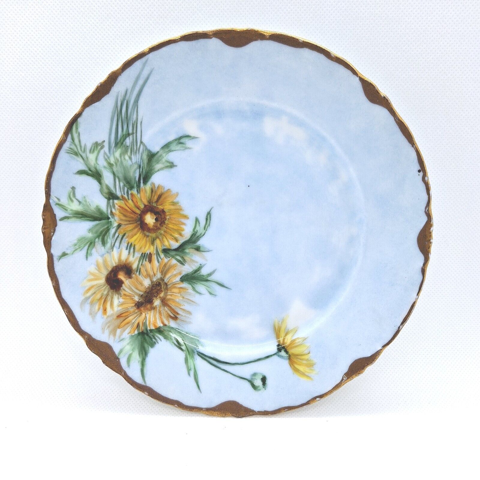 Rosenthale Bavaria Hand Painted Daisy Floral Plate 1908 Antique