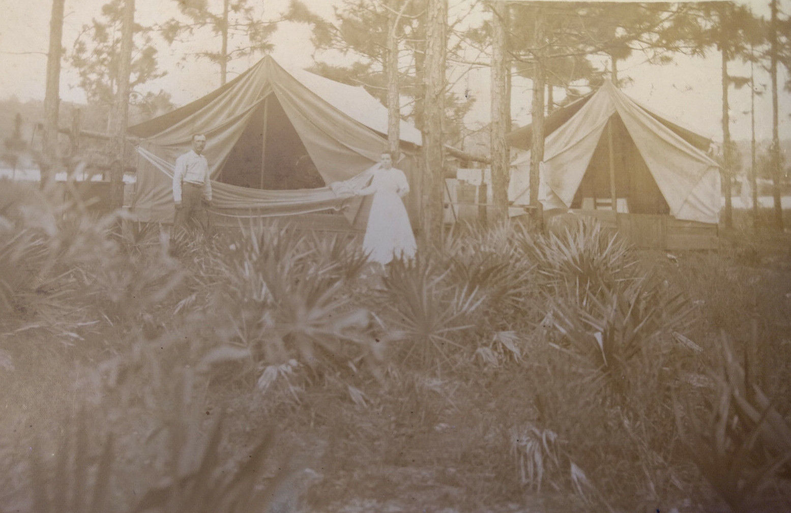 VTG Postcard Early c1900s Man Woman Camping Tents Woods RPPC Photo AZO Unposted