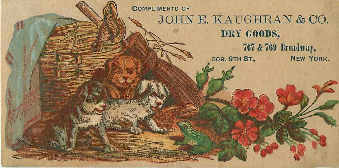 John E Kaughran Co Dry Goods Dogs Puppies New York Victorian Trade Card