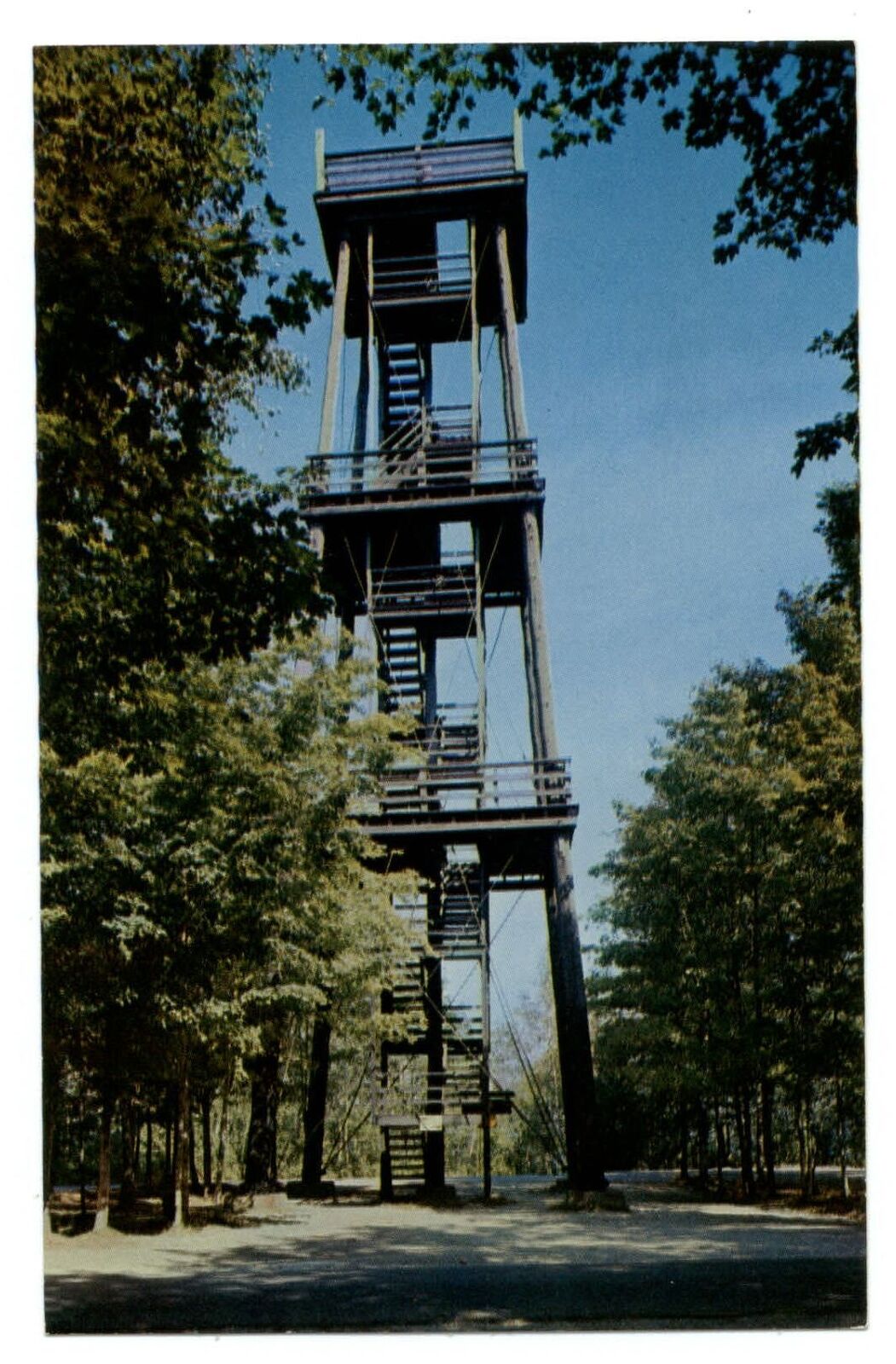 Sturgeon Bay Wisconsin Potowatomi State Park Observation Tower unused postcard