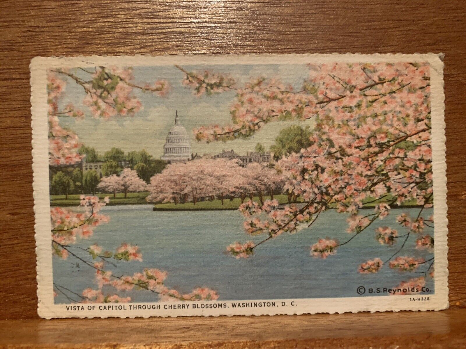 CHERRY BLOSSOMS, WASHINGTON, D. C. Capitol Vintage Postcard 1936 Postmark 
