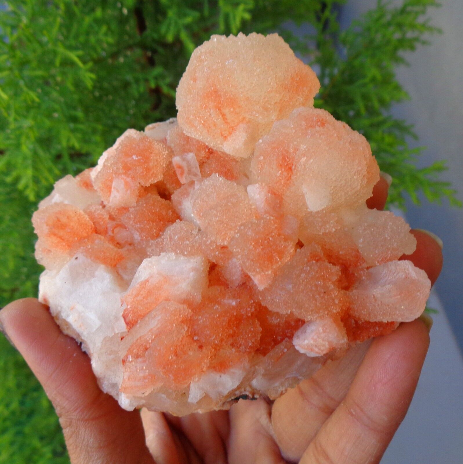 Light Orange Apophyllite Crystals w/ Stilbite Minerals Specimen #E34