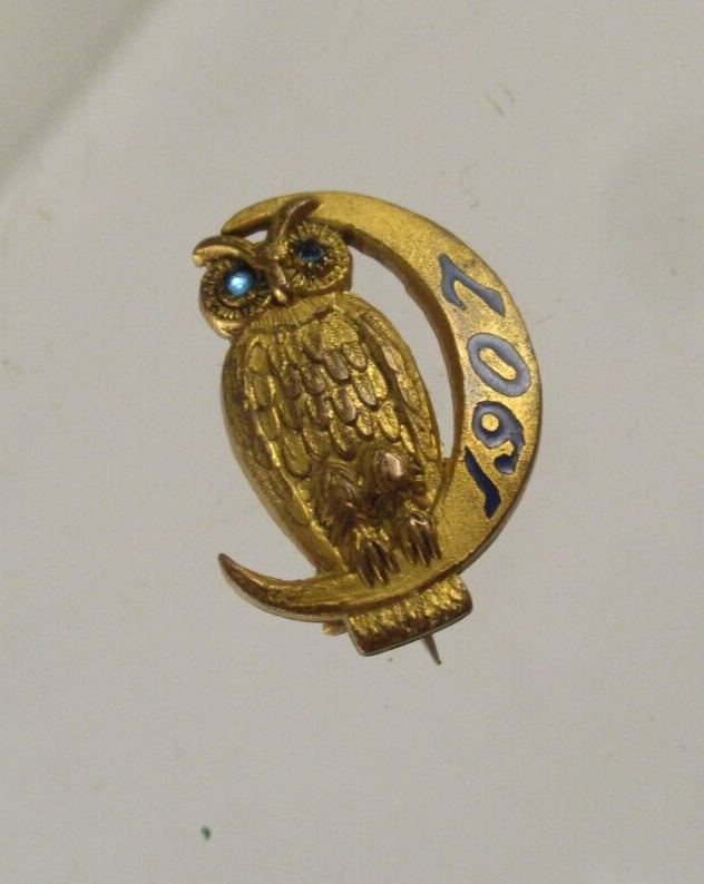 SMALL 1907 OWL CRESCENT MOON PIN MASONIC? ENAMEL w/ BLUE STONE EYES