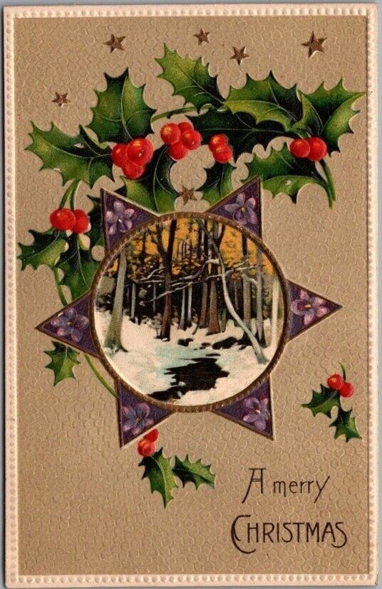 c1910s CHRISTMAS Embossed Greetings Postcard Six-Pointed Star / Woods Scene