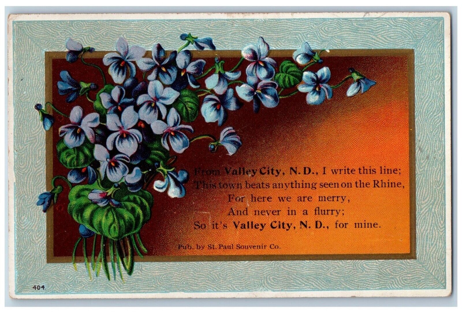 Valley City North Dakota ND Postcard Flower Embossed Town Beats Anything c1910