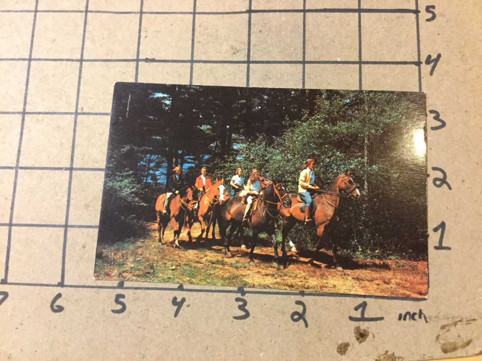 Vintage UNUSED Postcard -- GROUP OF HORSEBACK RIDERS