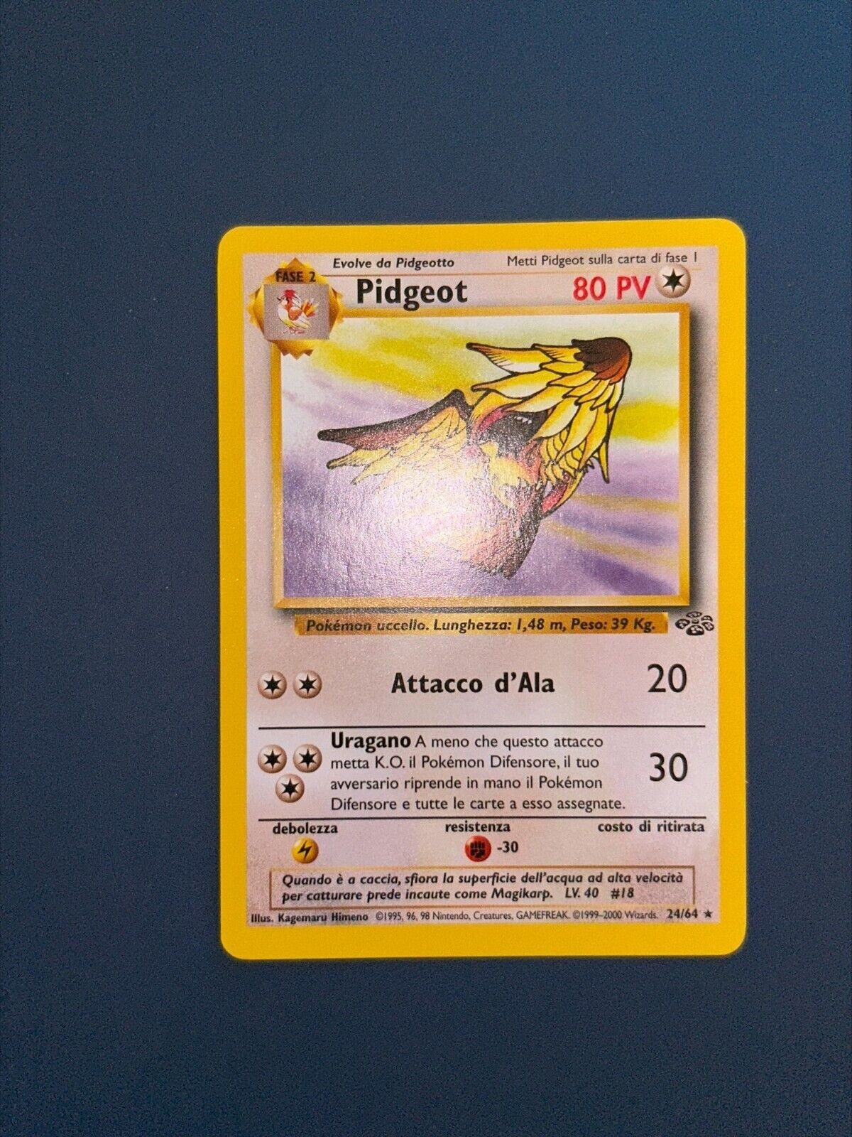 Vintage Ita Pidgeot 24/64 Jungle Ita Mint Pokémon Card