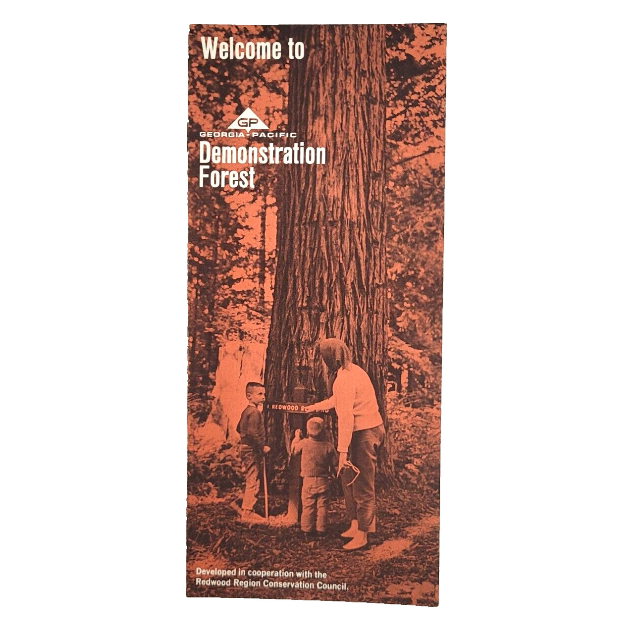 1968 Georgia Pacific Paper Tree Farm Demonstration Redwood Forest Brochure Map