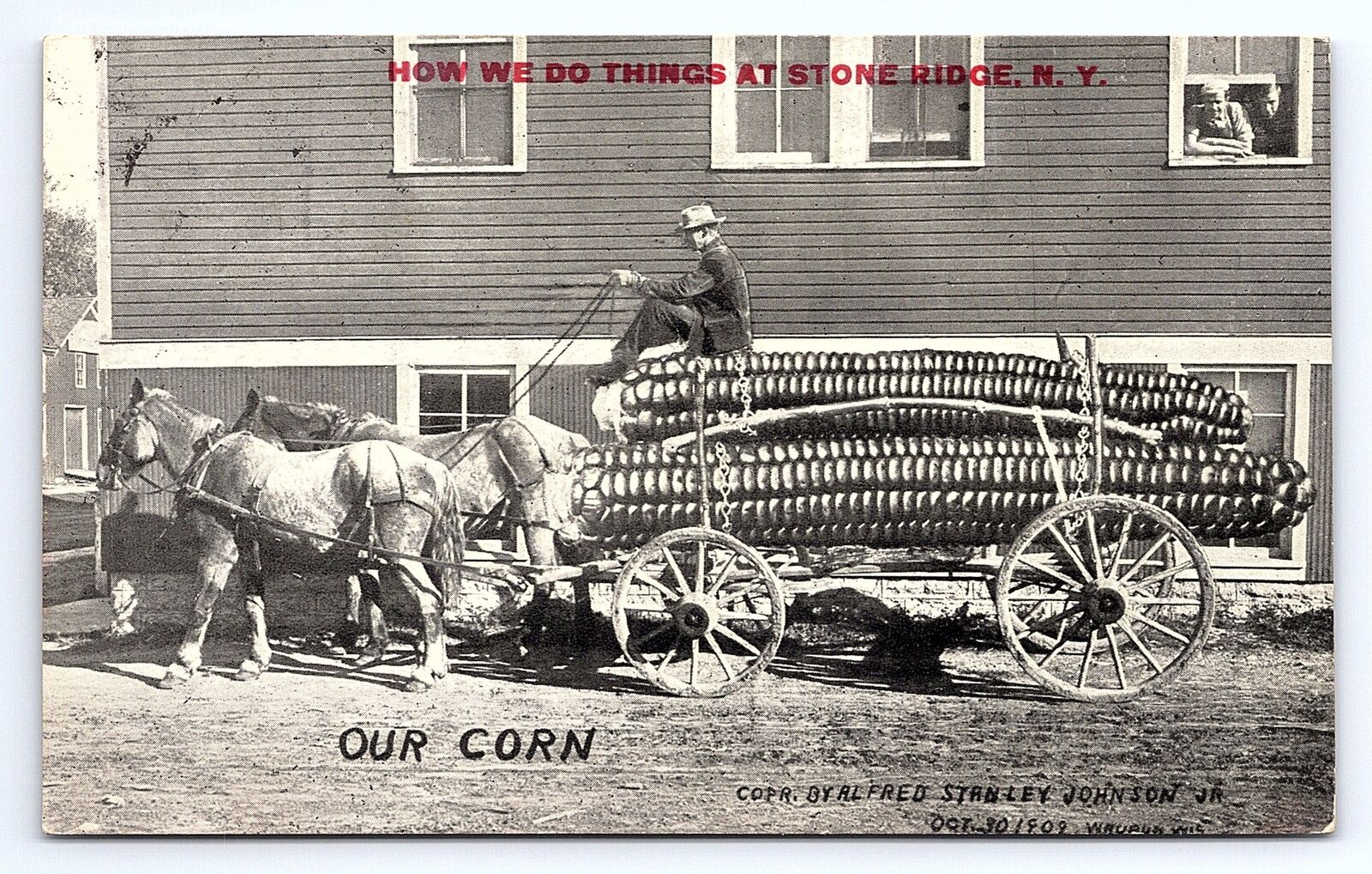 Postcard Stone Ridge New York Exaggerated Corn How We Do Things c.1912