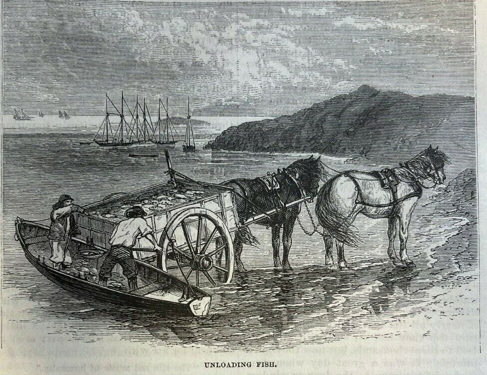 1874 Marblehead Massachusetts Oakum Bay Tucker\'s Wharf illustrated