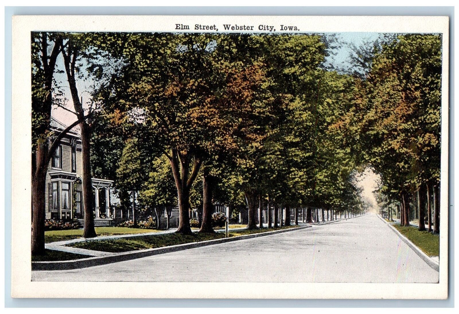 c1920's Elm Street Highway Lined Trees Houses Webster City Iowa Vintage Postcard