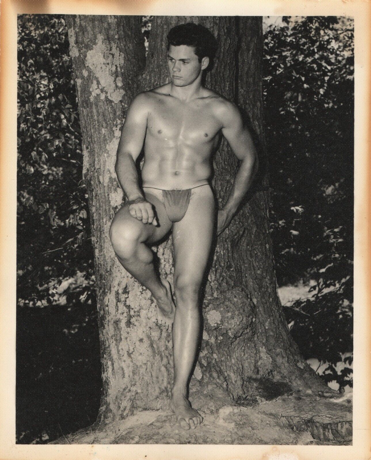 Gay Interest - Vintage  - Male Physique Photos - BRUCE OF LOS ANGELES - 4 x 5\