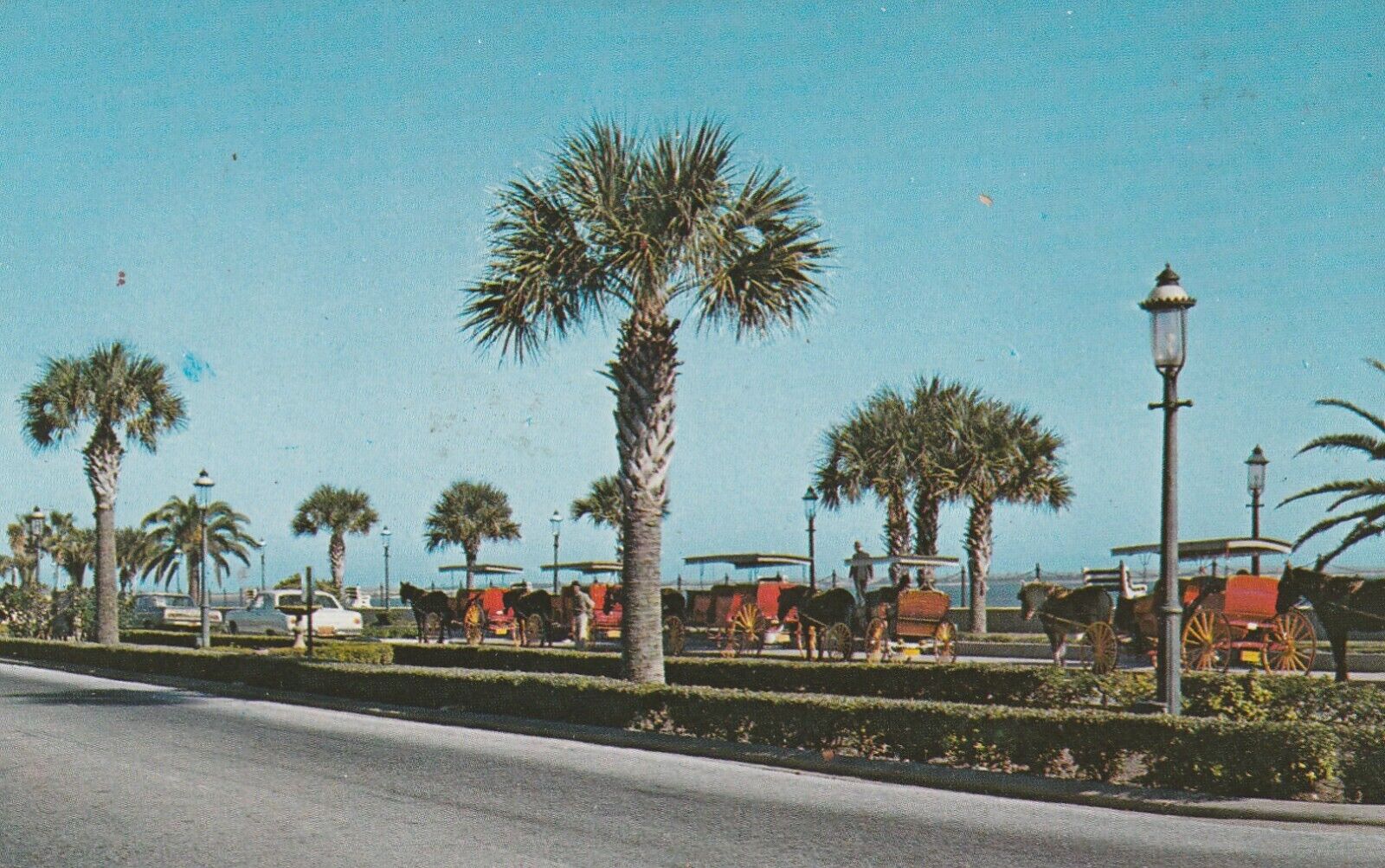 Vintage Postcard St. Augustine Florida Bay Front Photograph Unposted Beach Trees