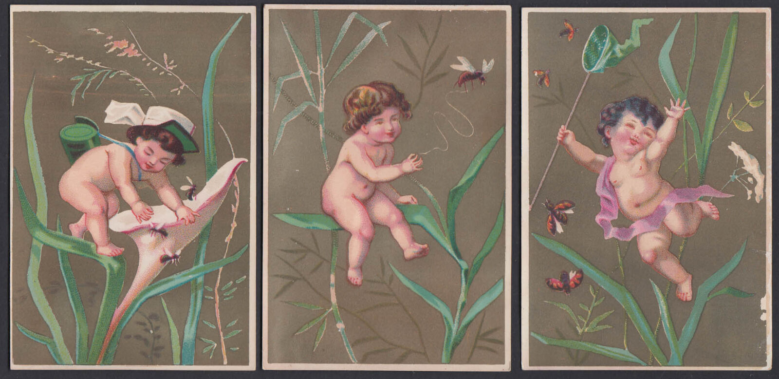 THREE different babies catching insects trade cards 1880s wasp bees buttertly &c