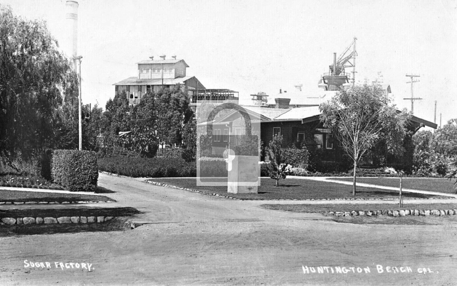 Sugar Factory Huntington Beach California CA Reprint Postcard