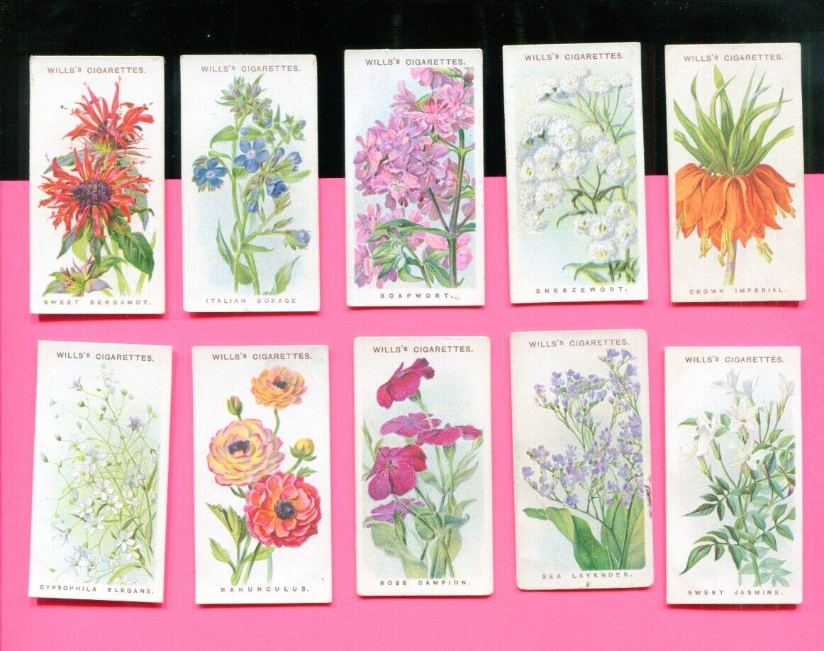 1913 WILLS CIGARETTES OLD ENGLISH GARDEN FLOWER 2ND SERIES 10 TOBACCO CARDS