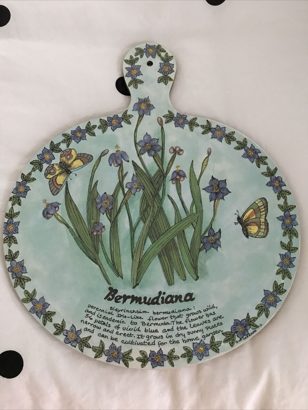 ECU Melamine Cutting Board Bermuda Vintage Bermudiana Flower Butterfly Wall Art