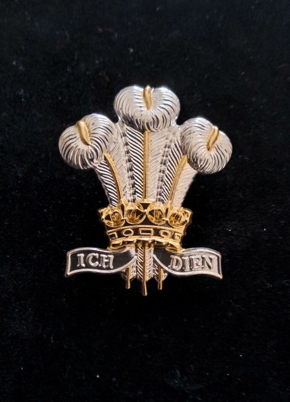 Genuine Royal Regiment Of Wales Staybrite Cap Badge British Military Regiment 