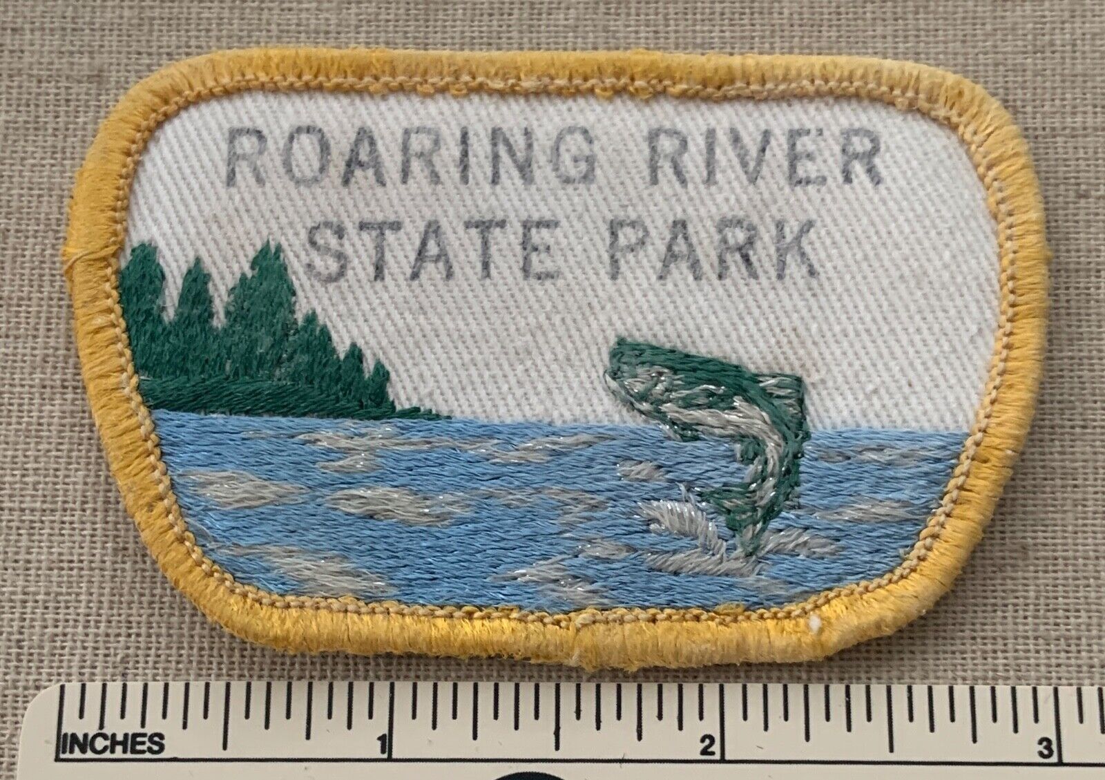 Vintage ROATING RIVER STATE PARK Travel Souvenir PATCH Fishing Boating Camp Hike