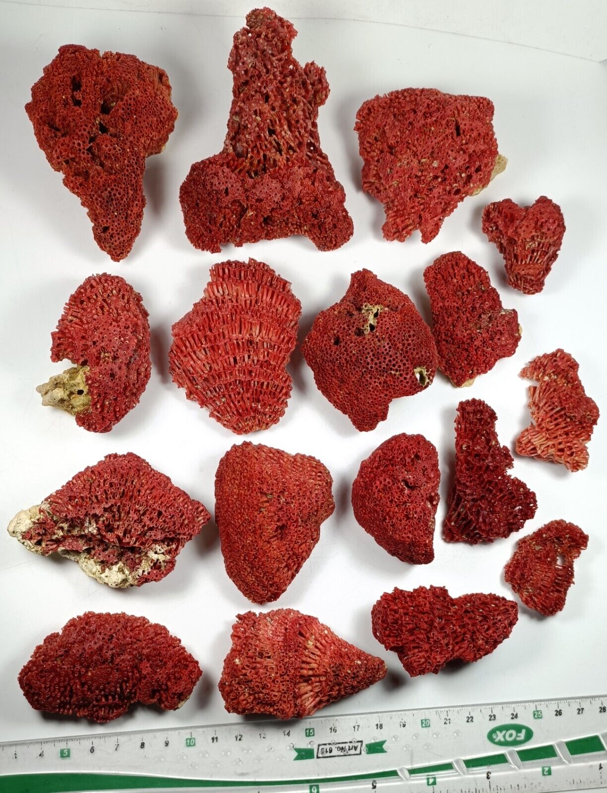 Natural Red Coral Specimens with nice color & formation. 16 pieces lot