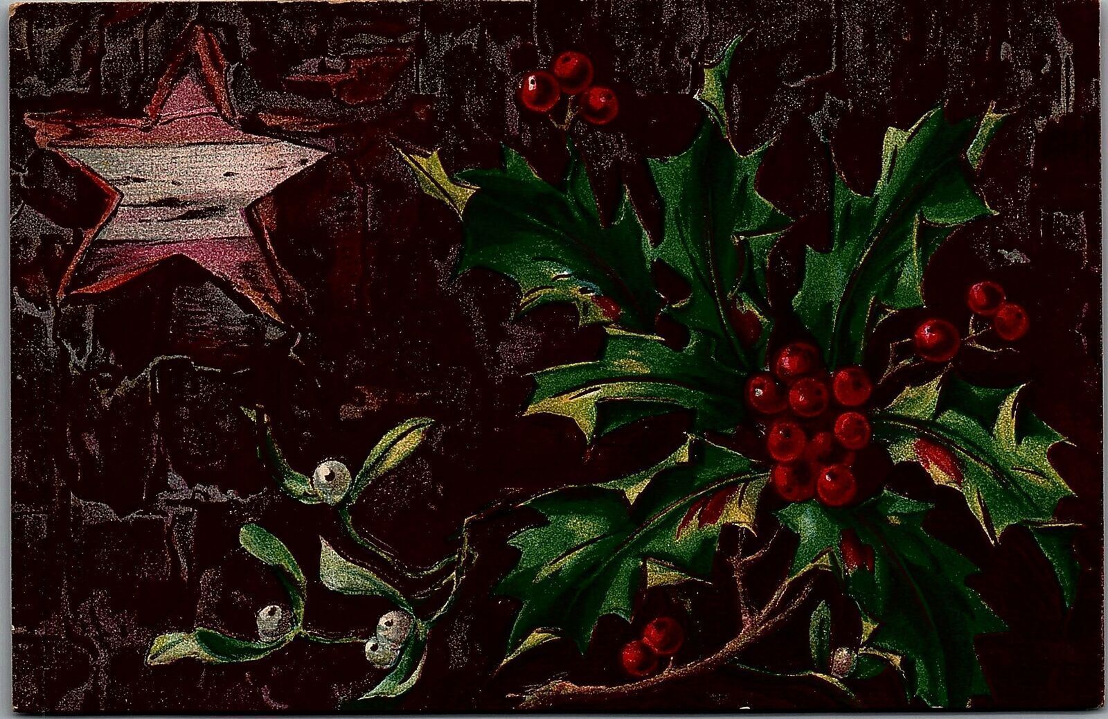 1910 CHRISTMAS GREETINGS HOLLY AND STAR VILONIA ARKANSAS EMBOSSED POSTCARD 39-46