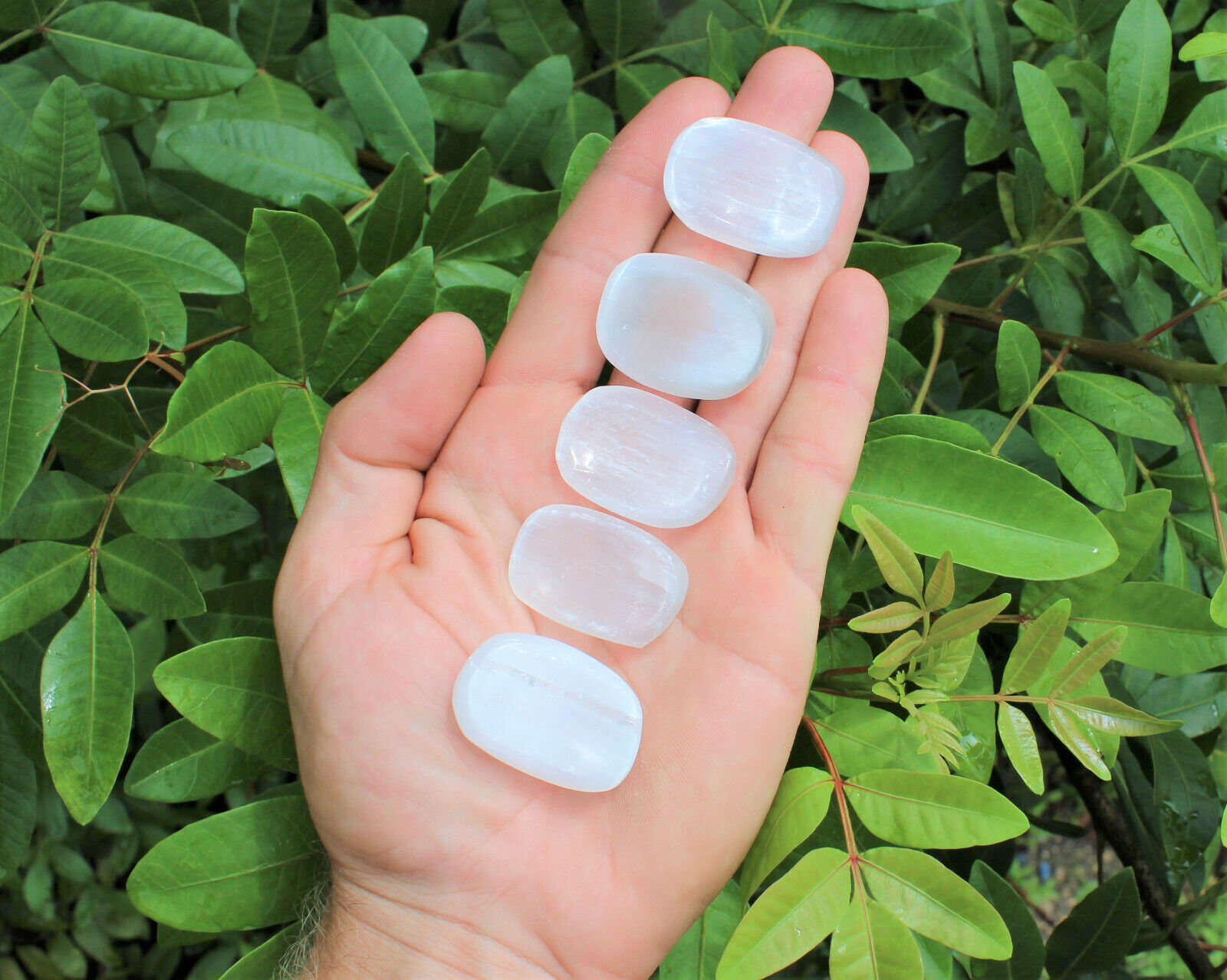 Selenite Pocket Stone, Small (Smooth Polished Selenite Stone, Palm, Worry)