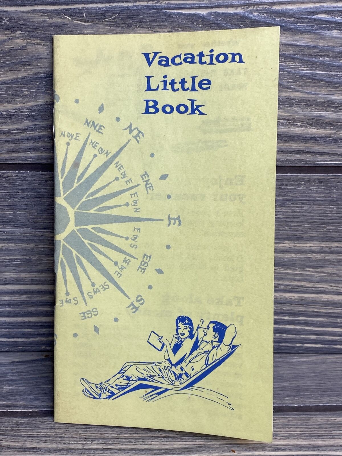 Vintage Public Finance Vacation Little Book Guide Planning Booklet Paperback