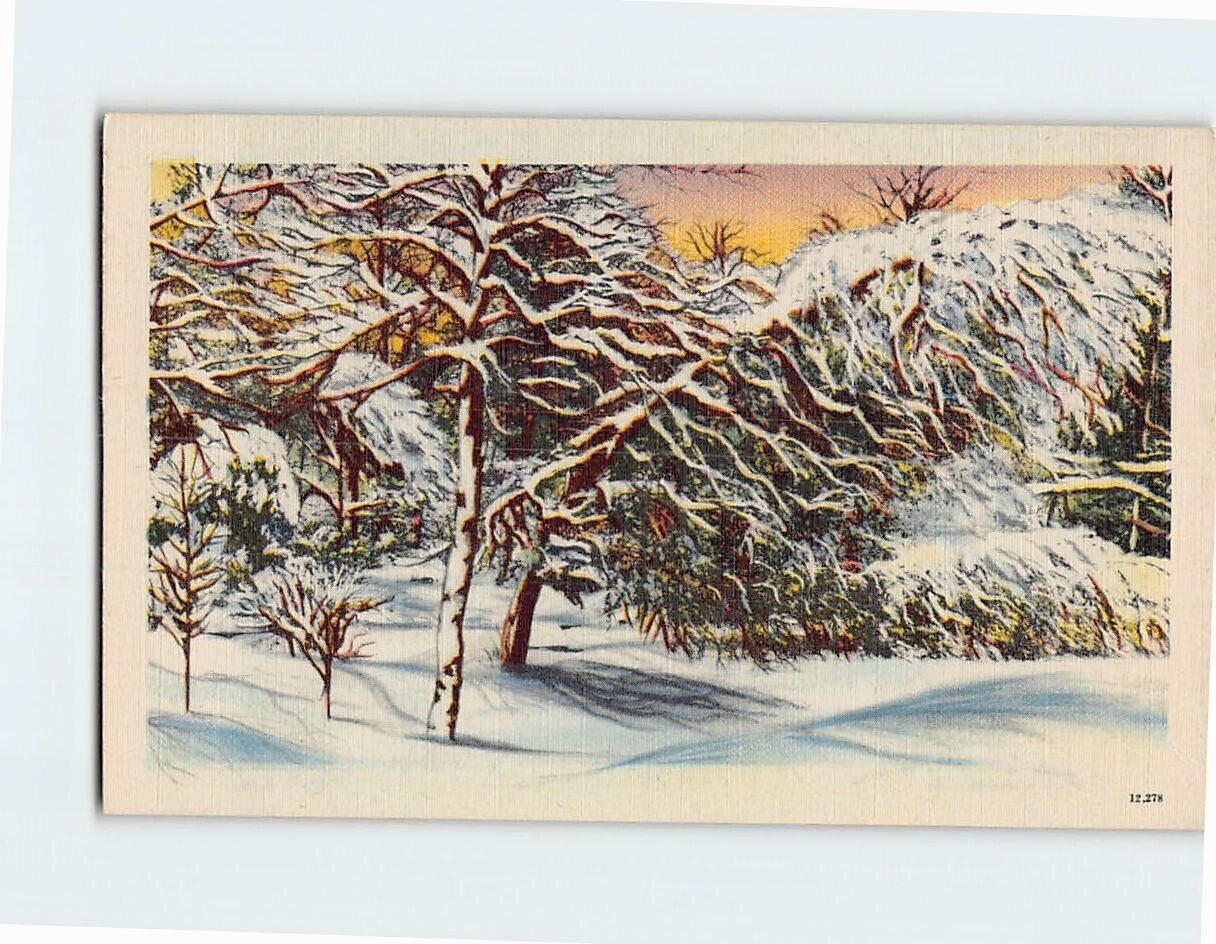 Postcard Covered in Snow Winter Scenery