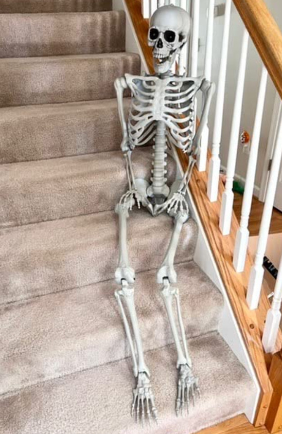 Skeleton 5.4ft Life Size Pose-N-Stay Halloween Decor W Light Up Red Eyes NEW