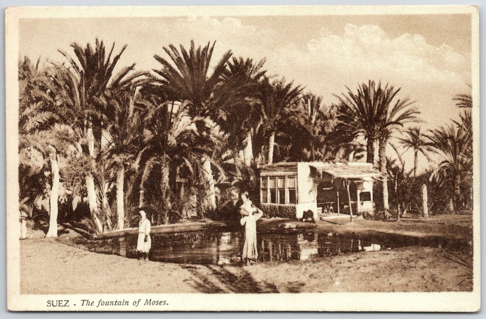 Suez the fountain of moses cairo egypt vtg postcard 1900s