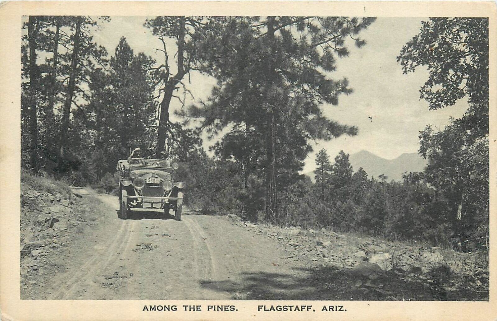Postcard C-1915 Arizona Flagstaff Among the Pines automobile Albertype AZ24-4312
