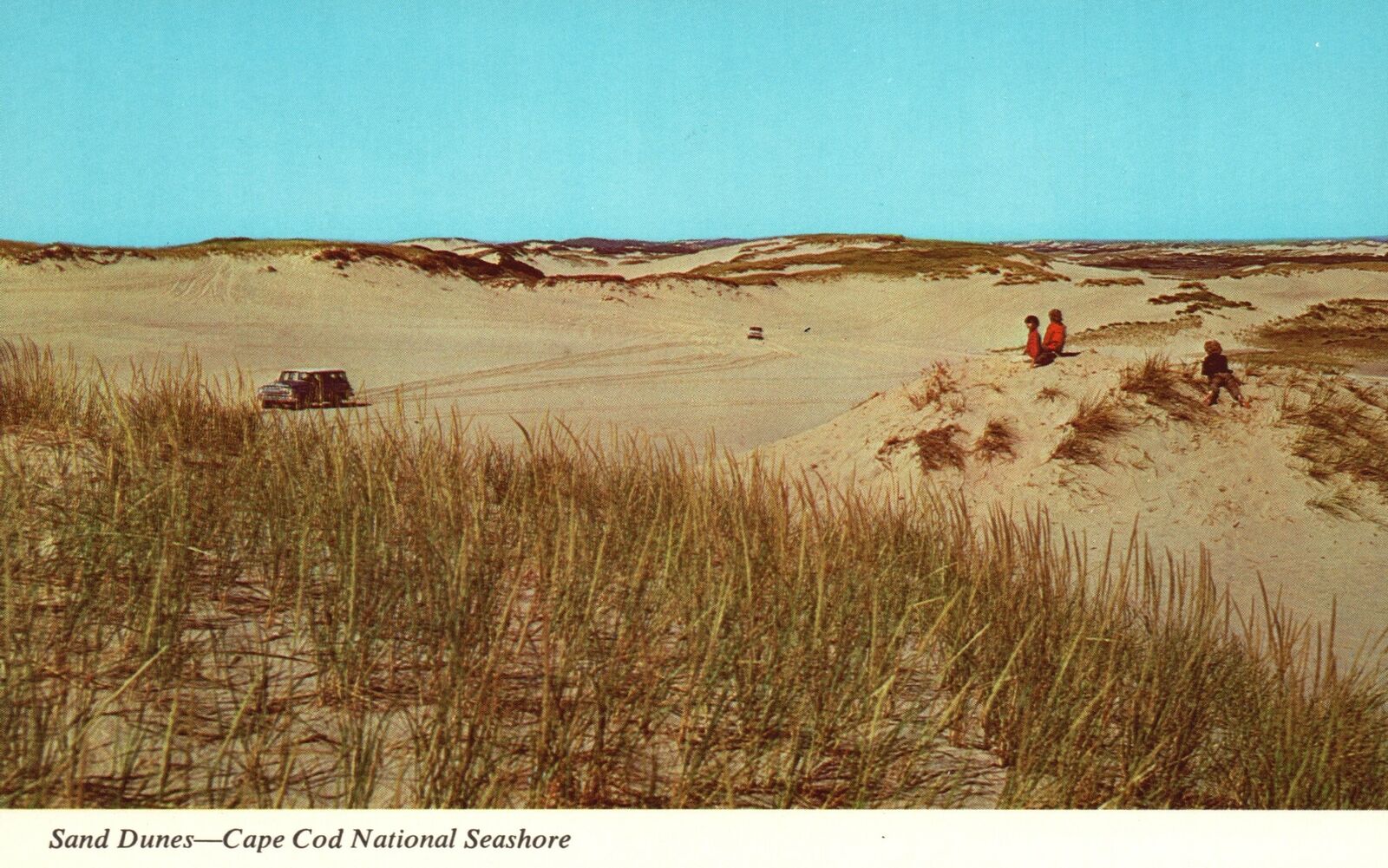 Postcard Typical View Of Sand Dunes Cape Cod National Seashore Massachusetts MA