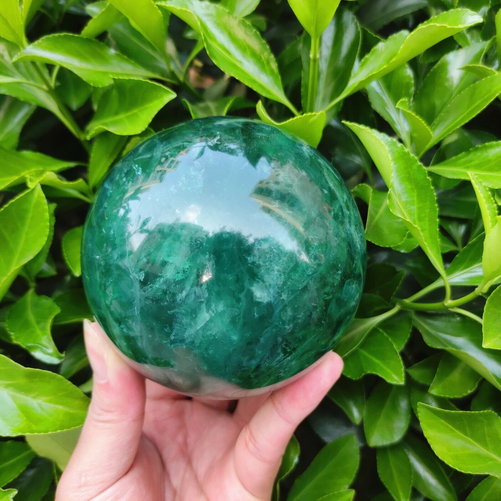 1700G  Natural Green Fluorite Ball Quartz Crystal Healing Sphere Reiki Stonec