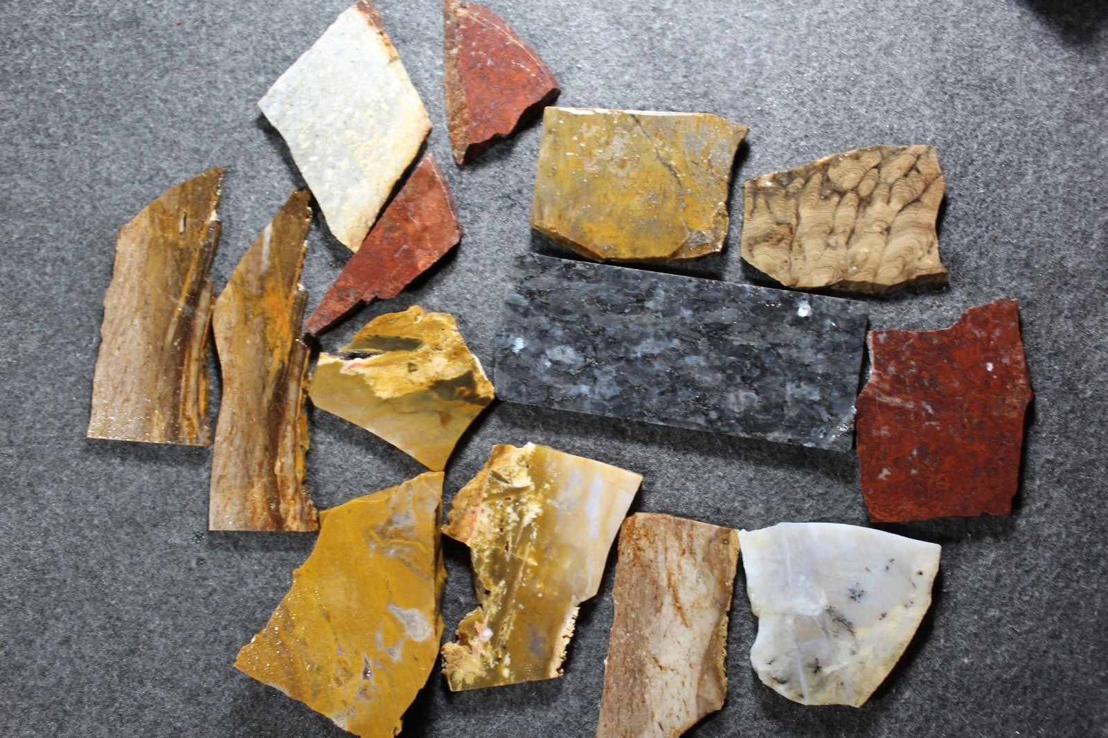 PJ: Mixed Lot of Slabs - Jasper, Agate, Stromatolite and More  1 Lb, 6 Ozs