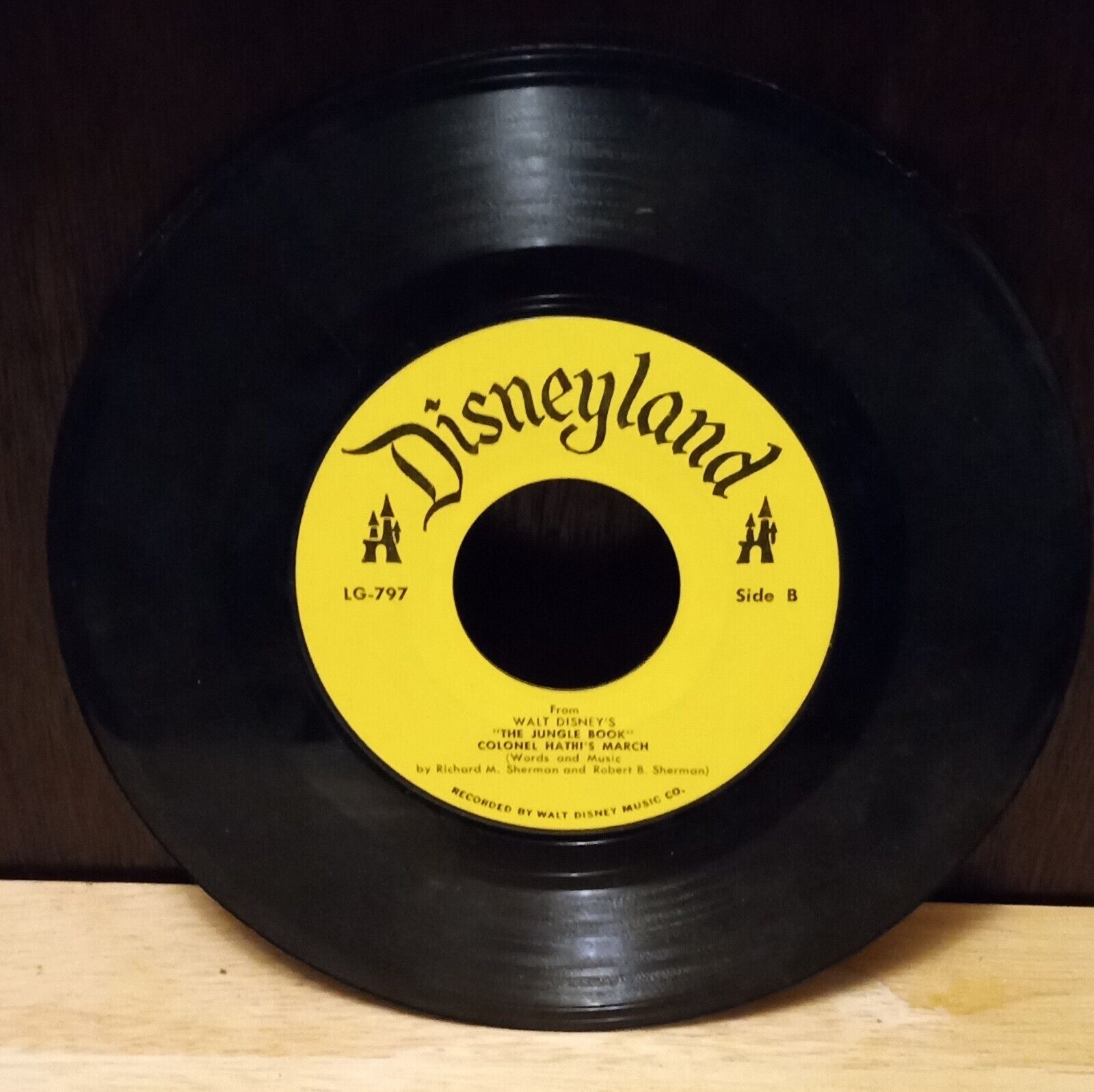 Disneyland 45RPM Vinyl \