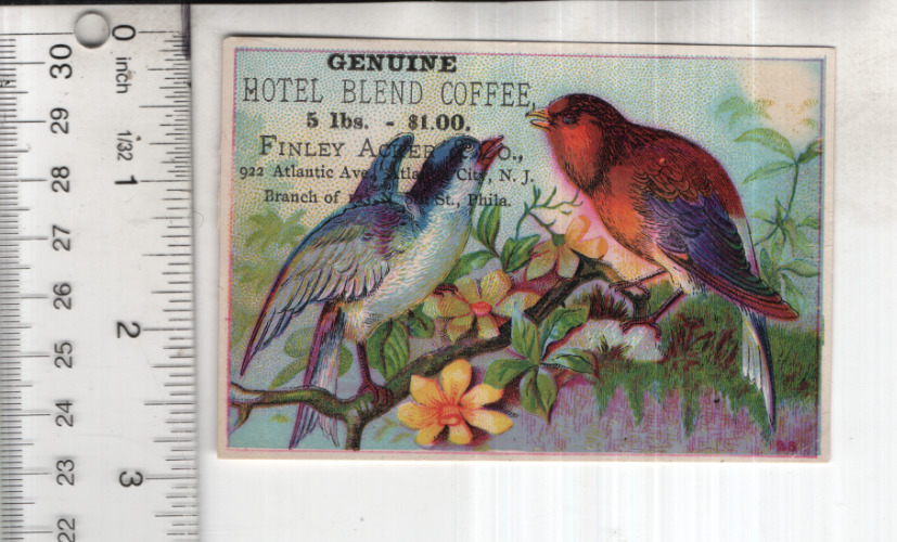 Finley Acker &co Hotel Blend Coffee Birds Victorian Trade Card 3\