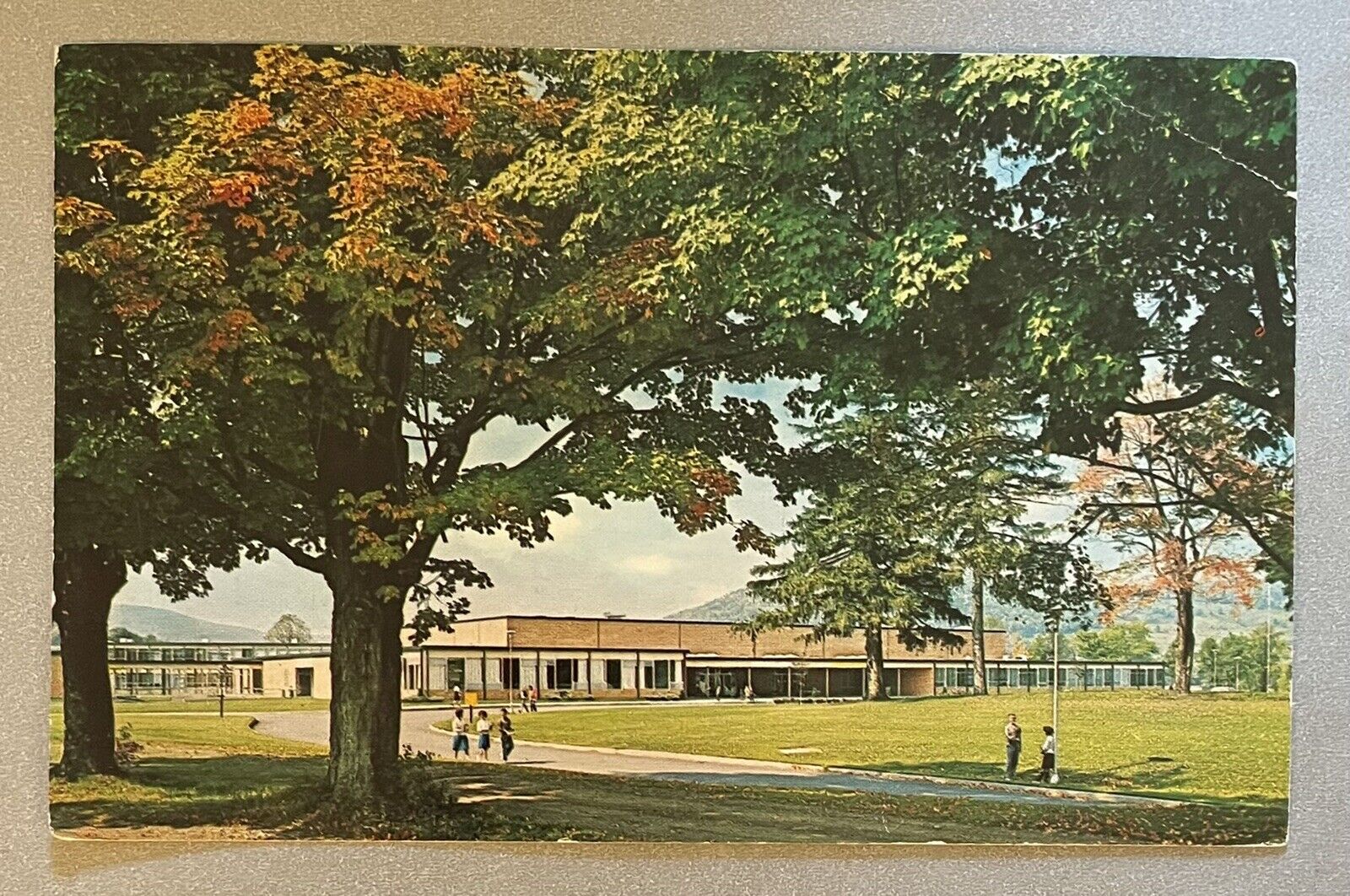 WALTON New York NY Central School vintage chrome postcard