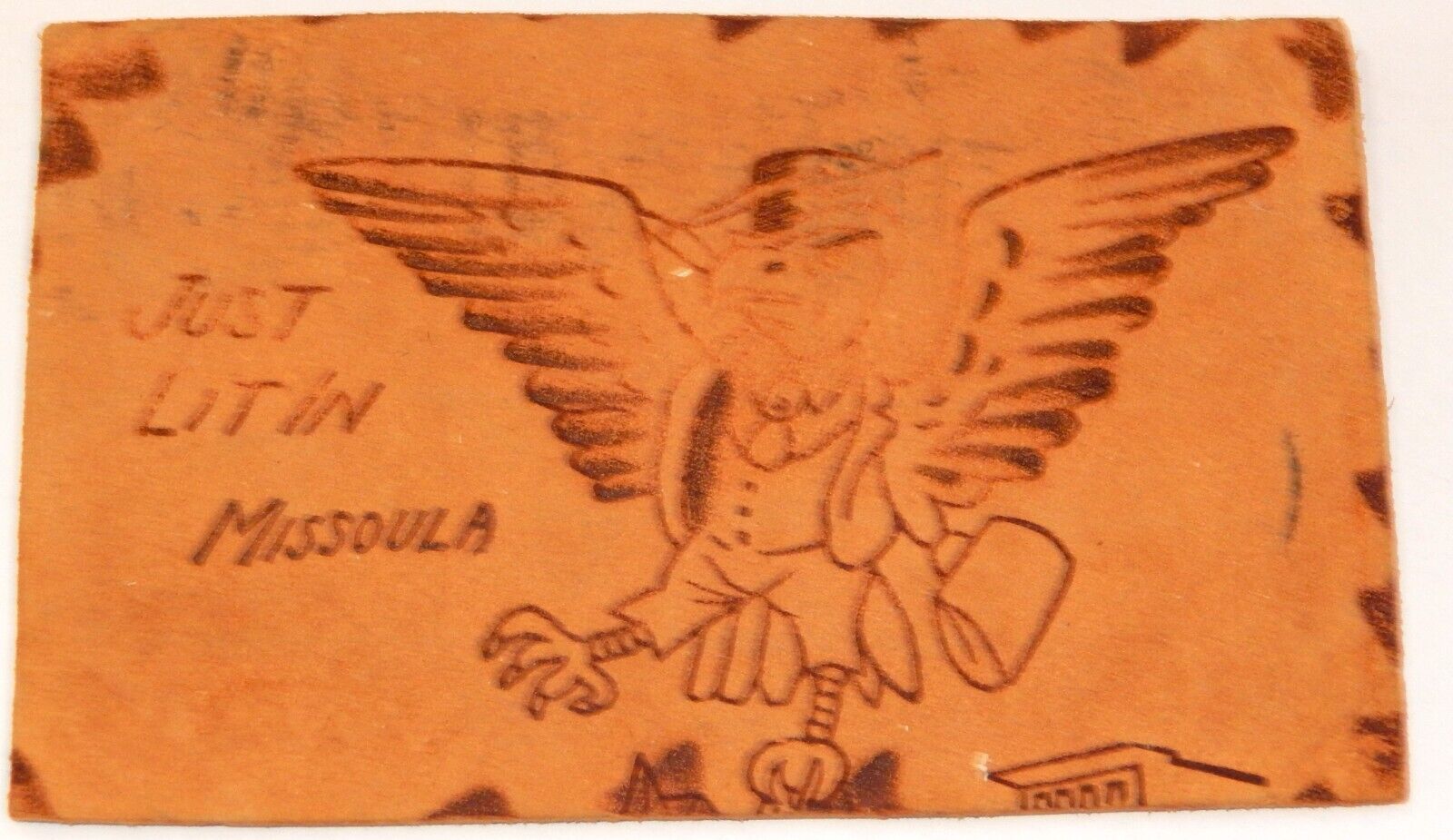 1906 LEATHER POSTCARD: DRESSED PARROT SMOKING JUST LIT IN MISSOULA MONTANA