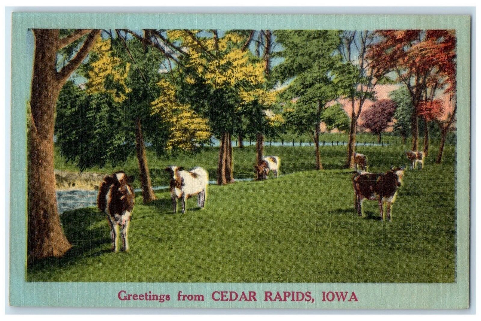 c1940\'s Greetings From Cedar Rapids Iowa IA Unposted Cows Trees Scene Postcard