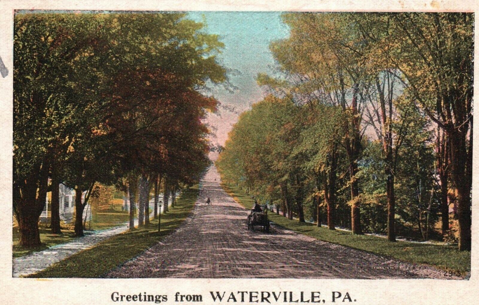 Postcard Linen Greetings from Waterville PA Street View Trees 