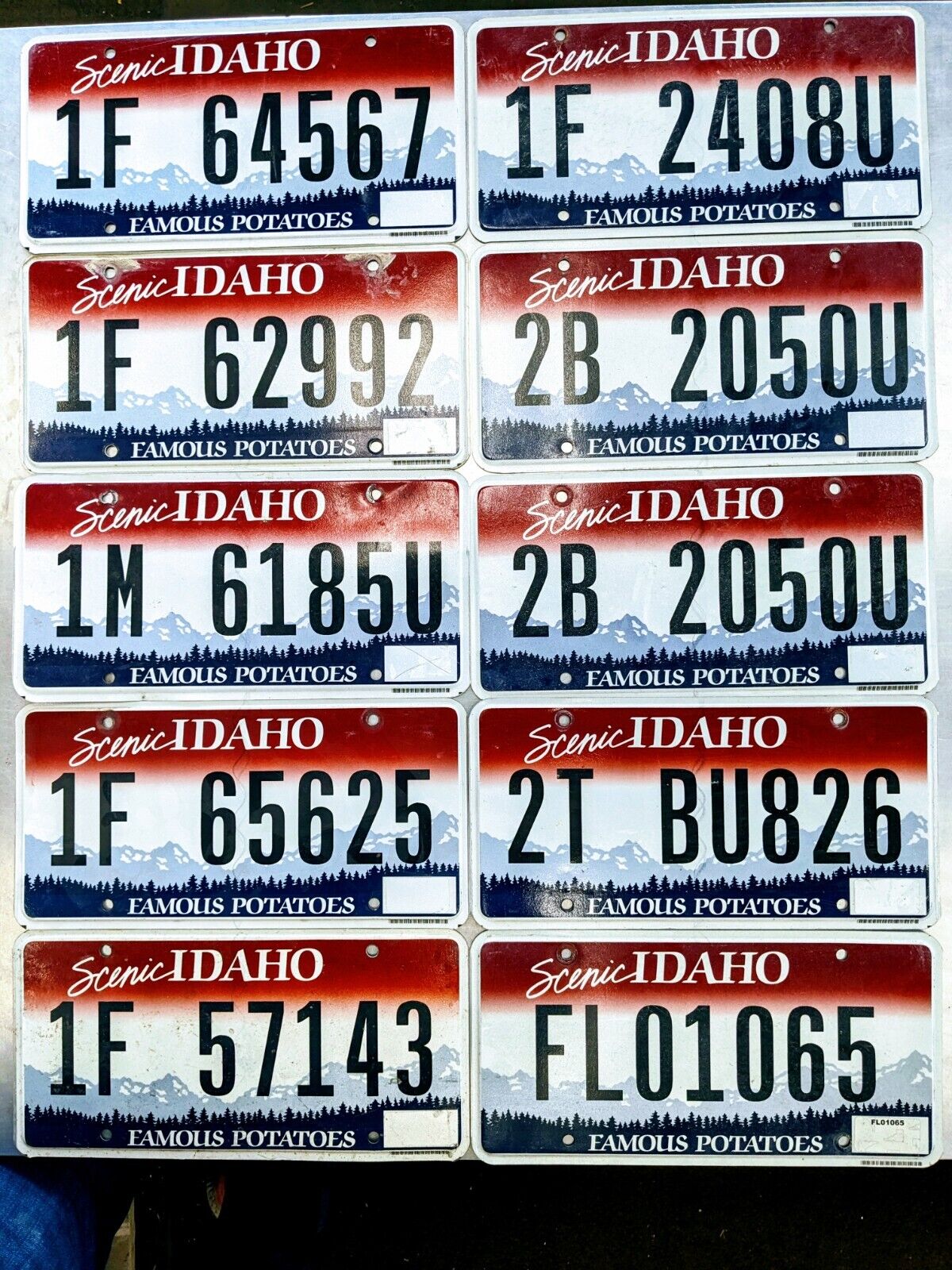 BULK LOT of 10 Idaho License Plates NICE QUALITY