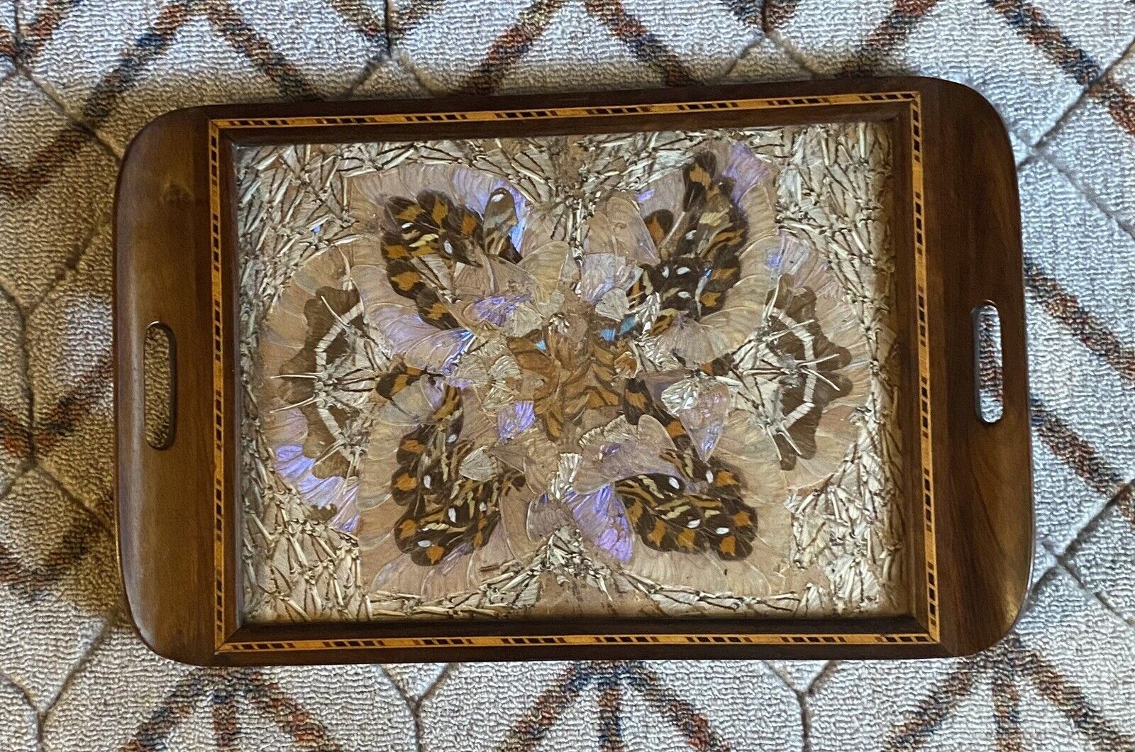 Vintage Brazilian Inlaid Wood Butterfly Wing Serving Tray Glass Top 20”x13\