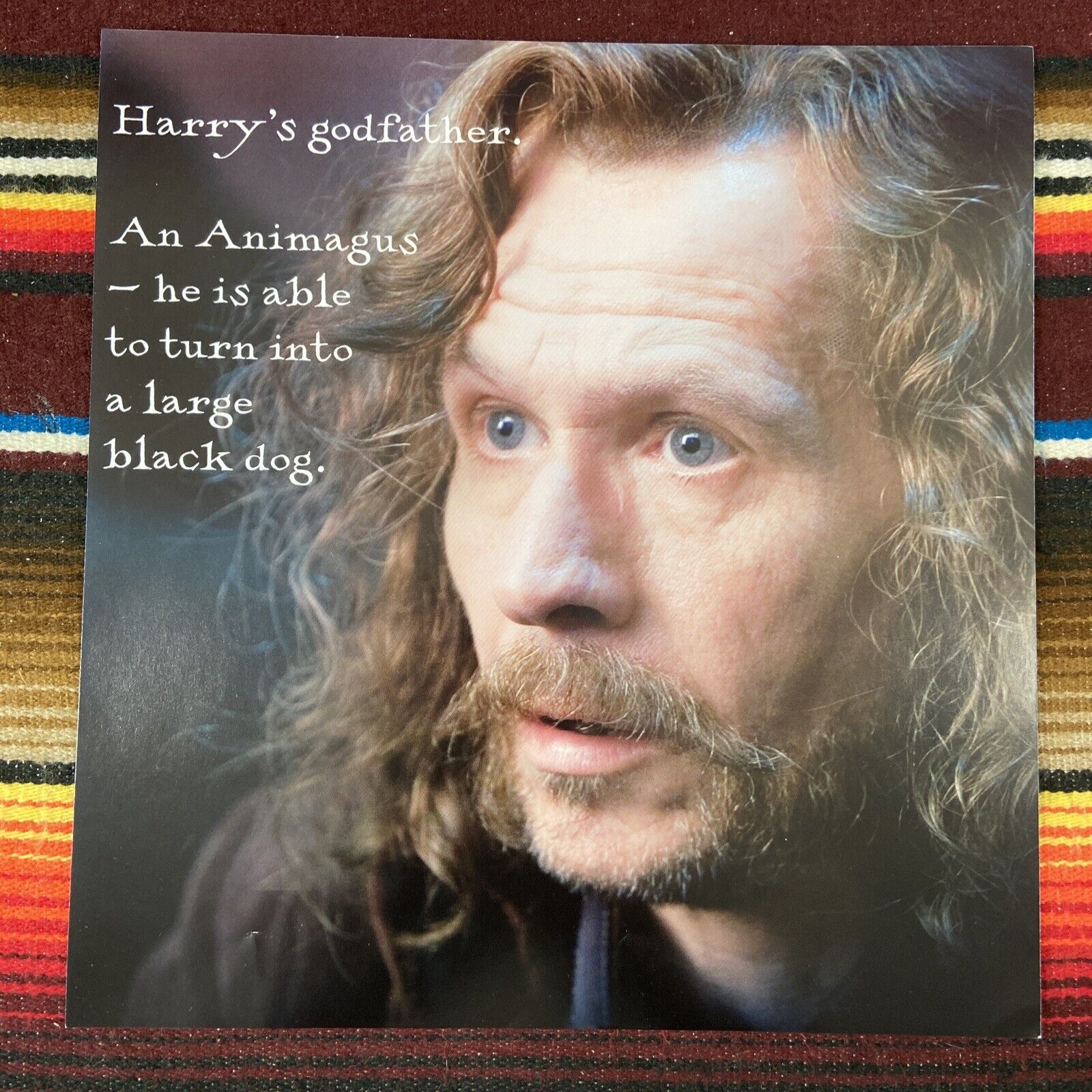 Harry Potters Uncle Sirius Black Poster 9x10 Print